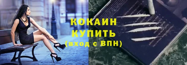 молекула духа Алексин