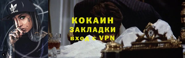 молекула духа Алексин