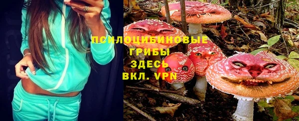 молекула духа Алексин