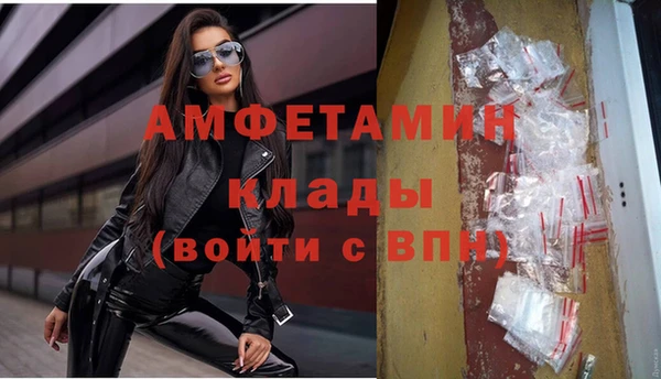 ПСИЛОЦИБИНОВЫЕ ГРИБЫ Алзамай
