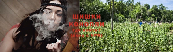 ПСИЛОЦИБИНОВЫЕ ГРИБЫ Алзамай