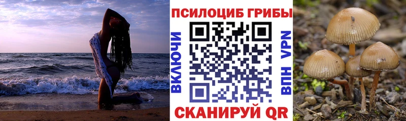 ссылка на мегу вход  где купить наркоту  Боготол  Псилоцибиновые грибы ЛСД 